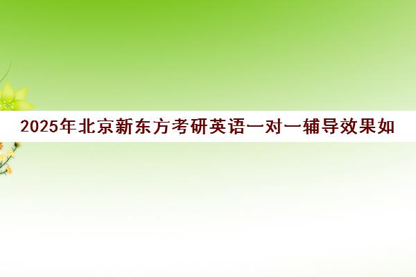 2025年北京新东方考研英语一对一辅导效果如何？